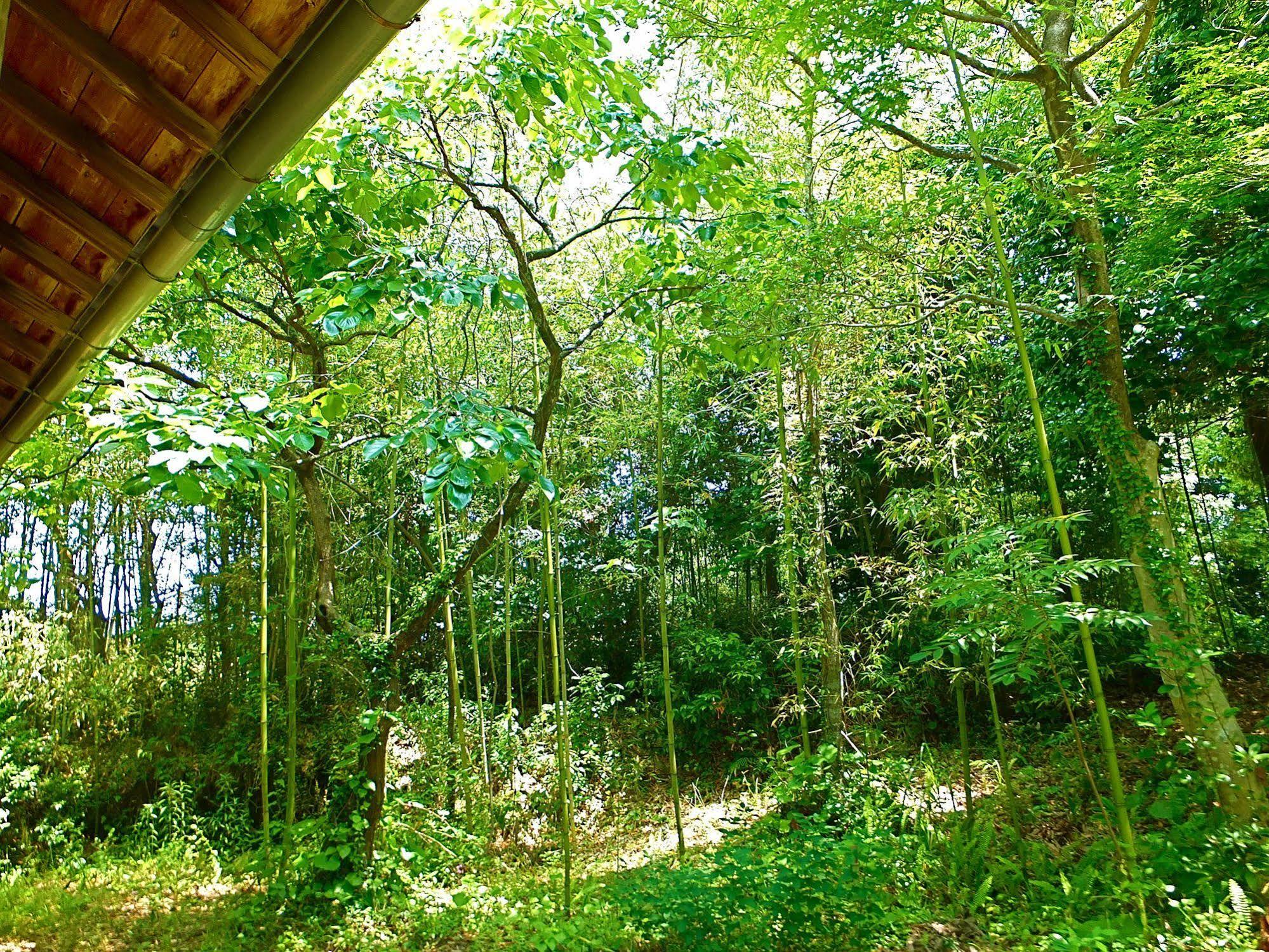 Kominka Sharehouse Hooju Mijazaki Exteriér fotografie